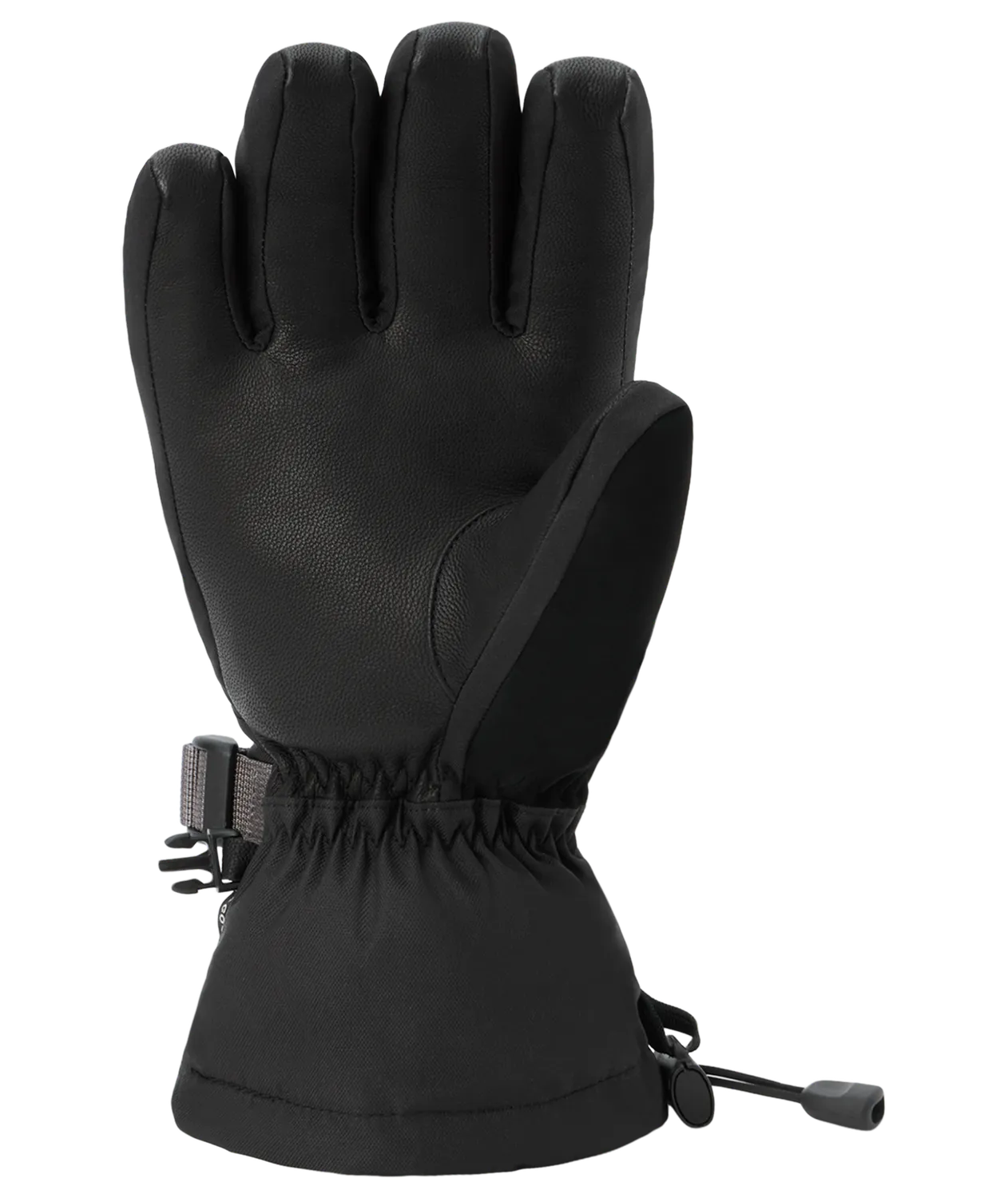 Dakine Sequoia 2.0 DLX Gore-Tex skihandsker dame sort