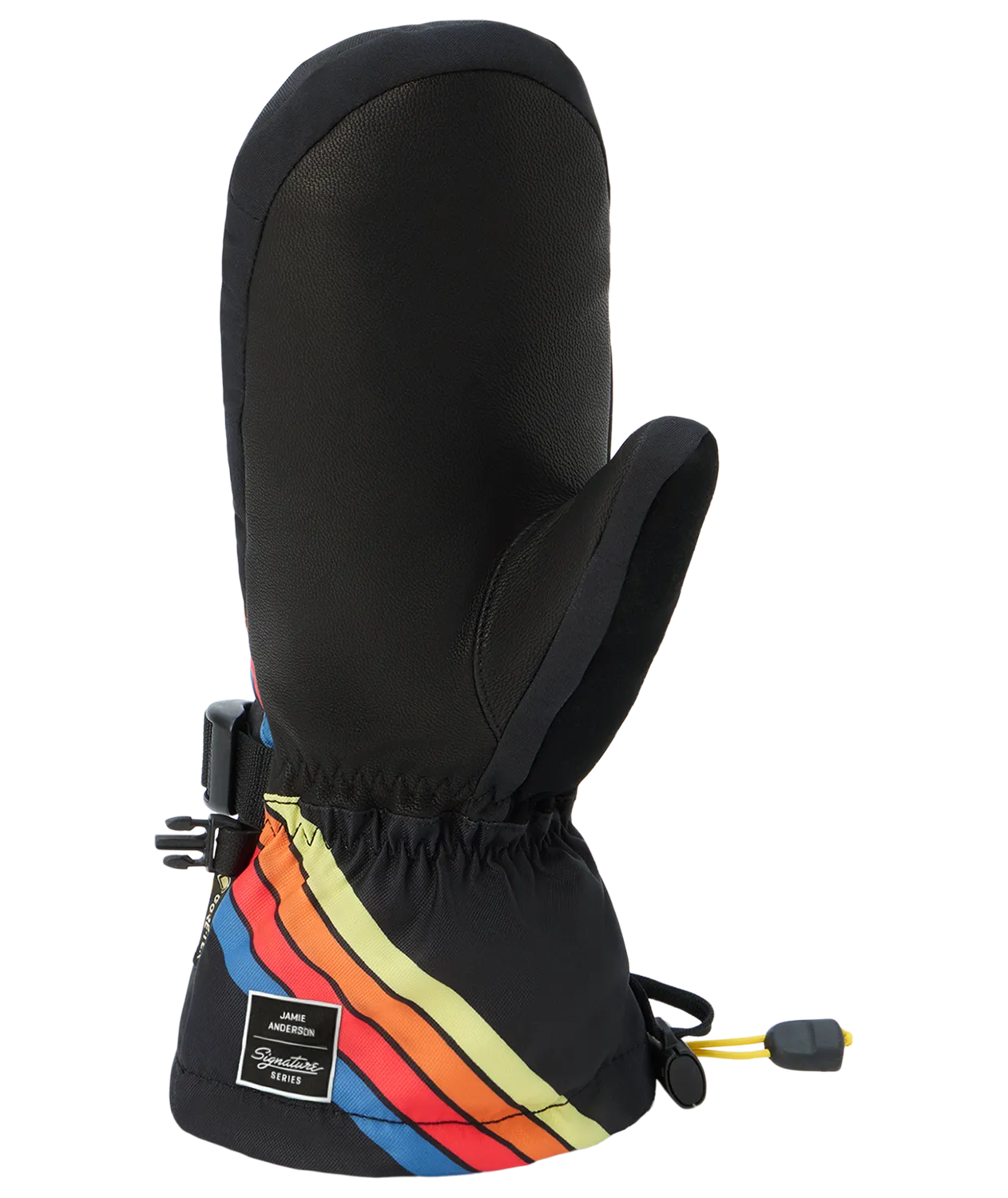 Dakine Sequoia 2.0 DLX Gore-Tex luffer Anderson Stripes