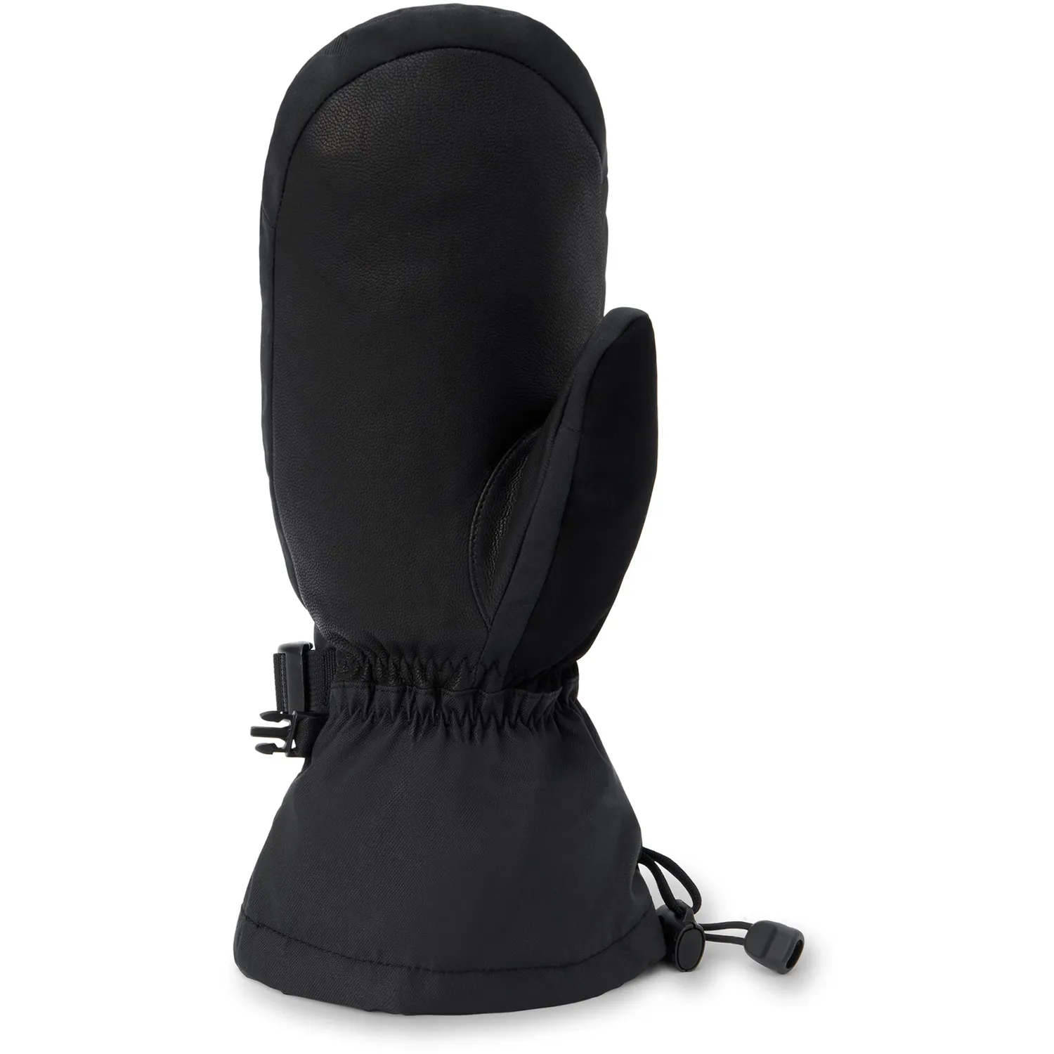 Dakine Titan 2.0 Leather DLX Gore-Tex luffer Sort