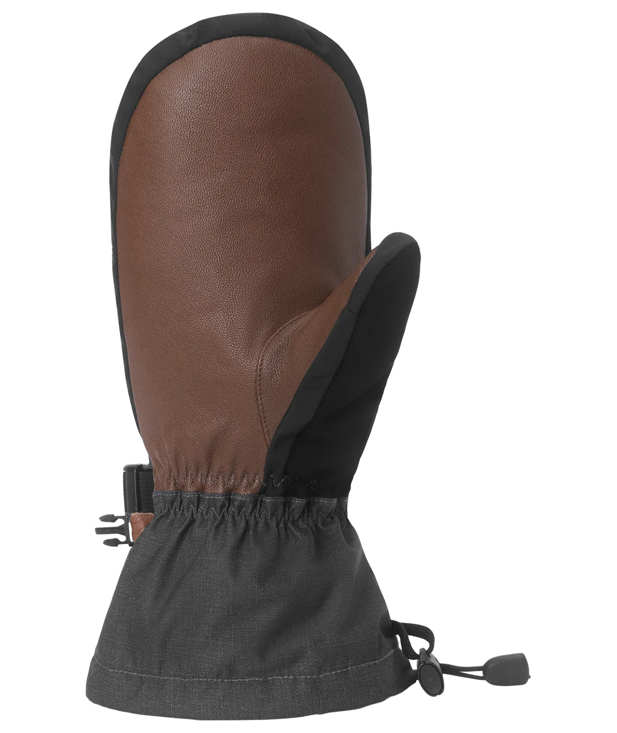 Dakine Titan 2.0 Leather DLX Gore-Tex luffe grå