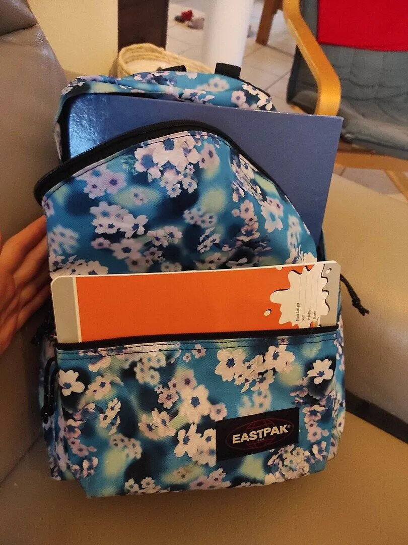 Eastpak Day Pak'r rygsæk Shape Blue Medium 14"
