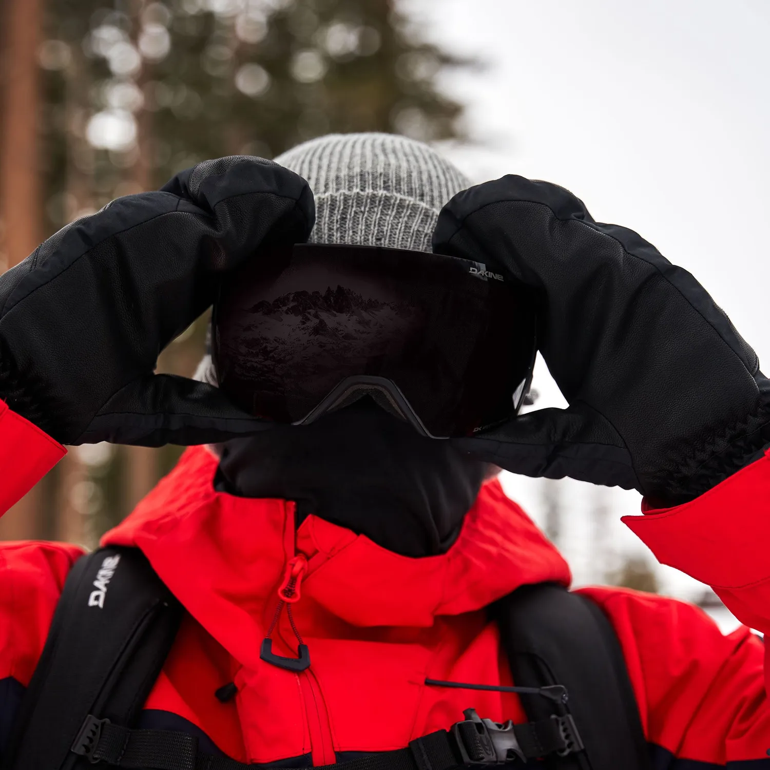 Dakine Domain Plus skibriller Kingdom Black spejlglas