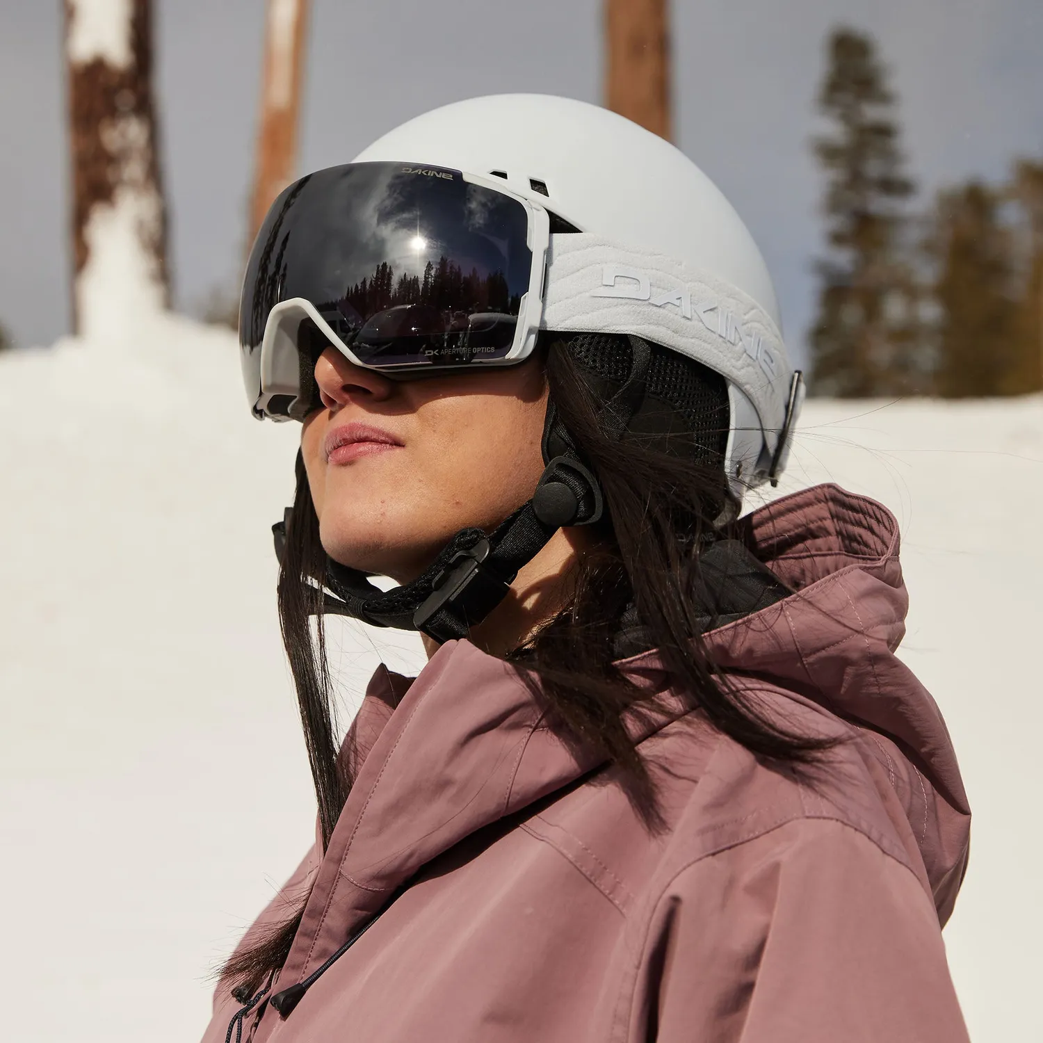 Dakine Domain Plus skibrille White/Black Storm Rose
